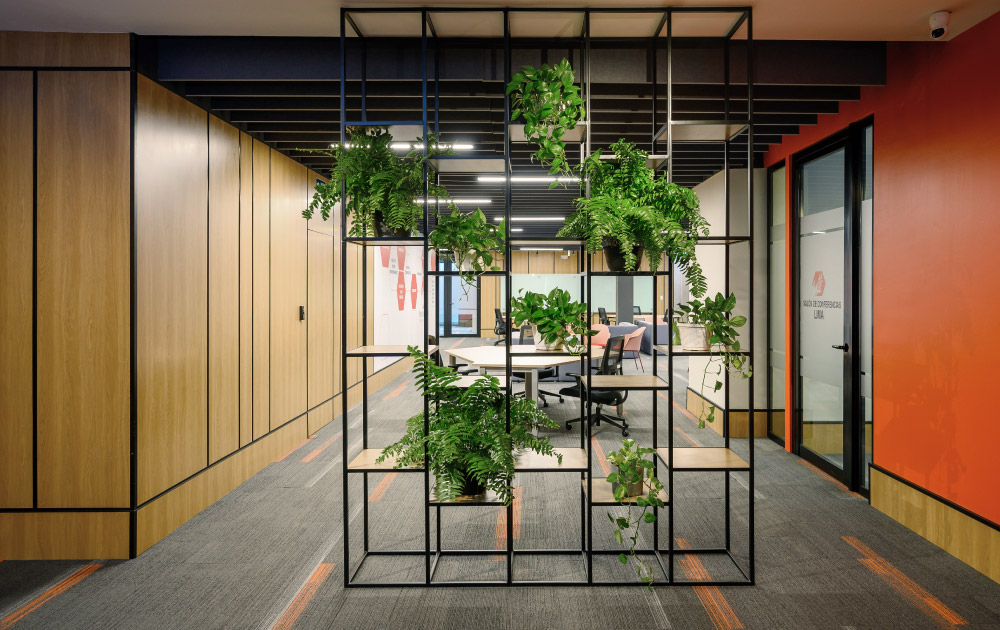 Diseño interior de oficina con integración de elementos naturales